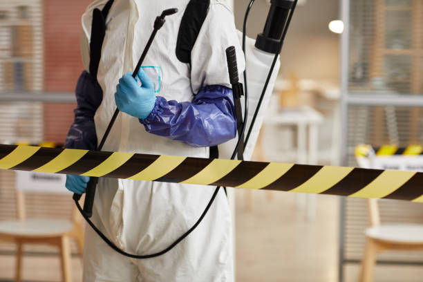Professional Odor Removal technician working in Juniata, NE